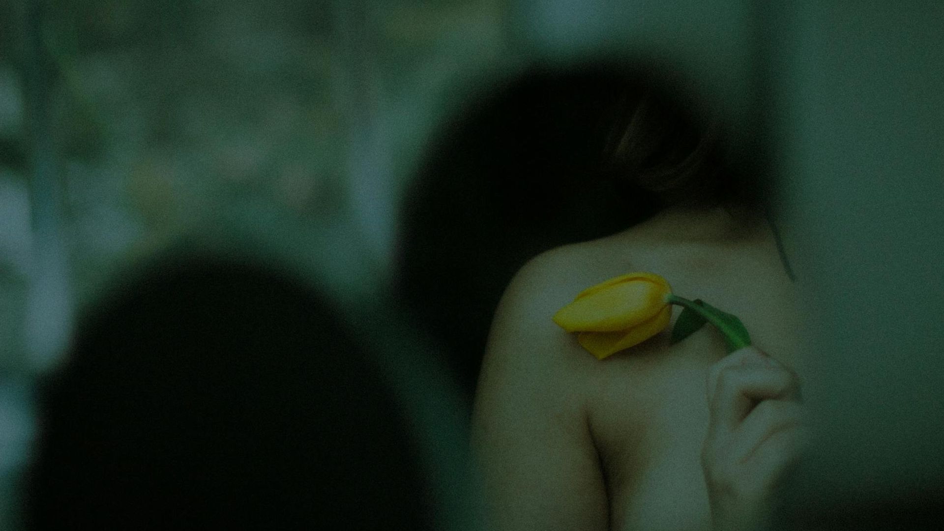 A calm and minimalist space suggesting harmony and balance.